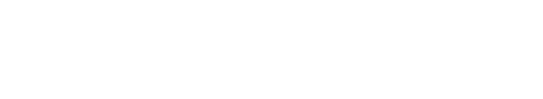 Quantum 300
